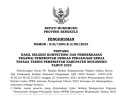 Selamat Ya, Silahkan Cek Nama Anda di Sini, Ini Pengumuman PPPK Pemkab Mukomuko Tenaga Teknis 2023