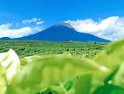 Menarik Dikunjungi! Inilah 8 Tempat Wisata Andalan di Kerinci